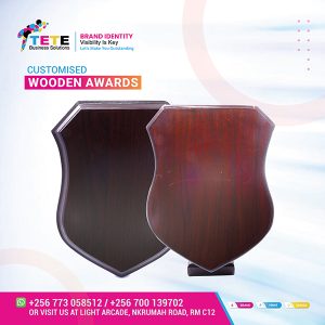 Customized Wooden Award 011