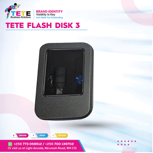 Flash Disk 003