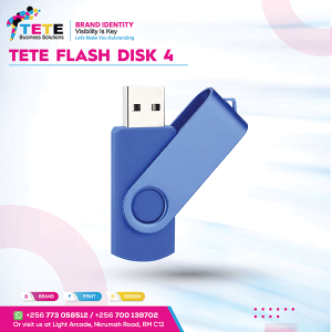 Flash Disk 004
